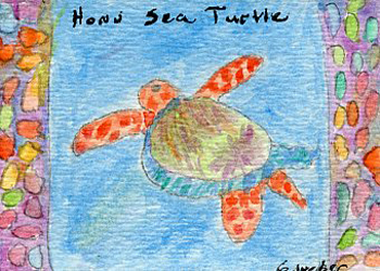 Honu Sea Turtle Gail Weber Woodstock IL watercolor